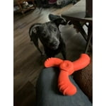 Image 4 of customer photos