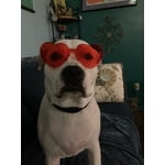 Image 2 of customer photos