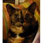 Image 6 of customer photos