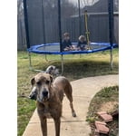 Image 3 of customer photos