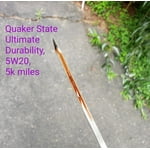 Image 7 of customer photos