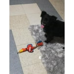 Image 6 of customer photos