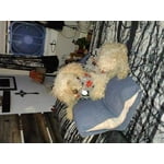 Image 2 of customer photos