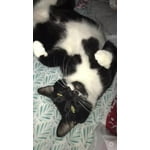 Image 6 of customer photos