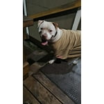 Image 3 of customer photos