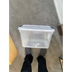 Image 2 of customer photos
