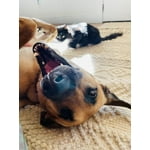 Image 7 of customer photos