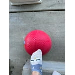 Image 6 of customer photos