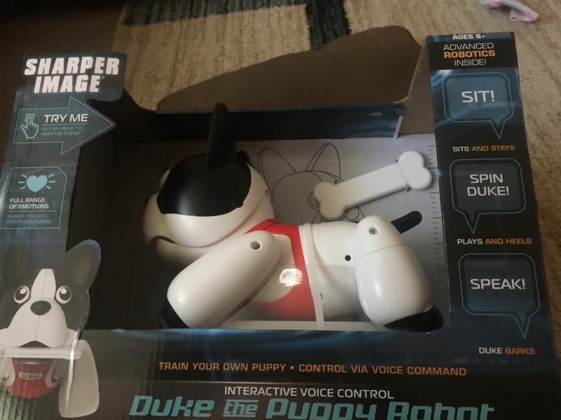 sharper image duke the puppy trainable robot toy