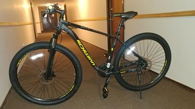 schwinn santis weight