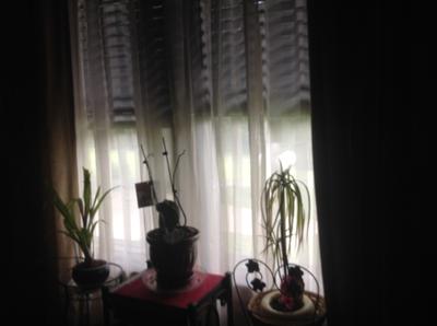 Better Homes And Gardens 84 Inch Taupe Satin Stripe Sheer Better Homes And Gardens 84 Inch Taupe Satin Stripe Sheer