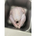 Image 4 of customer photos