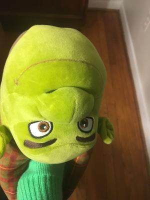 shrek slippers