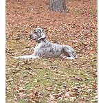 Image 3 of customer photos