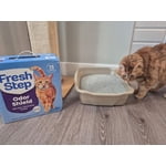 Image 2 of customer photos