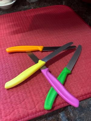 Victorinox Utility Knife Set 4.5 Inch | Razor Sharp, Serrated Edge