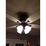 Image 3 of customer photos