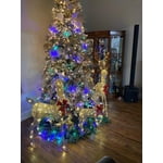 Image 4 of customer photos