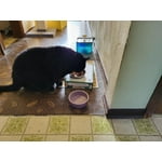 Image 3 of customer photos