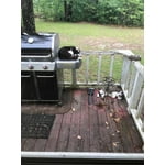 Image 3 of customer photos