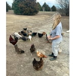 Image 5 of customer photos