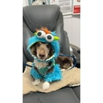 Image 1 of customer photos