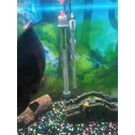 Image 5 of customer photos