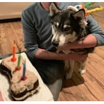 Image 7 of customer photos