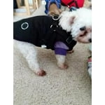 Image 2 of customer photos