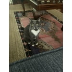 Image 6 of customer photos