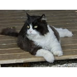 Image 3 of customer photos