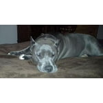 Image 6 of customer photos