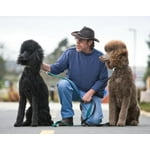 Image 5 of customer photos