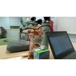 Image 3 of customer photos