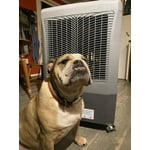 Image 3 of customer photos