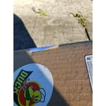 Image 3 of customer photos