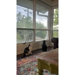 Image 6 of customer photos