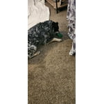 Image 6 of customer photos