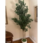 Image 2 of customer photos