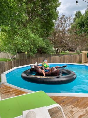 mechanical bull water float