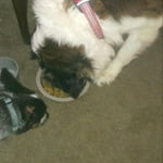 Image 3 of customer photos