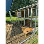 Image 4 of customer photos