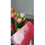 Image 5 of customer photos