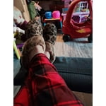 Image 6 of customer photos