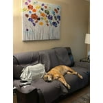 Image 3 of customer photos