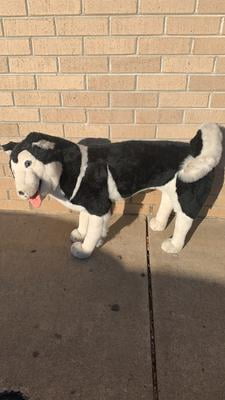 melissa and doug husky