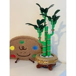 Image 5 of customer photos