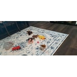 Image 3 of customer photos