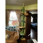 Image 4 of customer photos