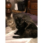 Image 4 of customer photos